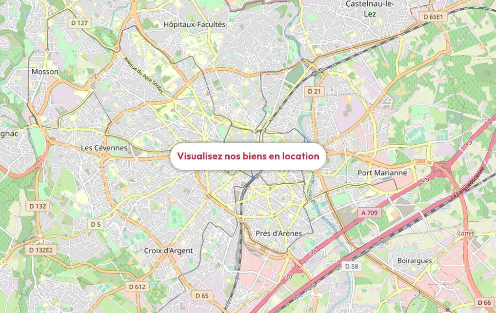 Carte des biens en location